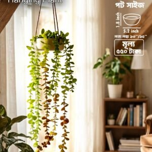 প্রিমিয়াম আর্টিফিশিয়াল হ্যাঙ্গিং লতা প্ল্যান্ট উইথ পট | হোম ও অফিস ডেকোর