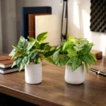 প্রিমিয়াম হ্যান্ডমেড জিপসাম পটে আর্টিফিশিয়াল ডেকোরেটিভ প্ল্যান্ট (#p10&11)
