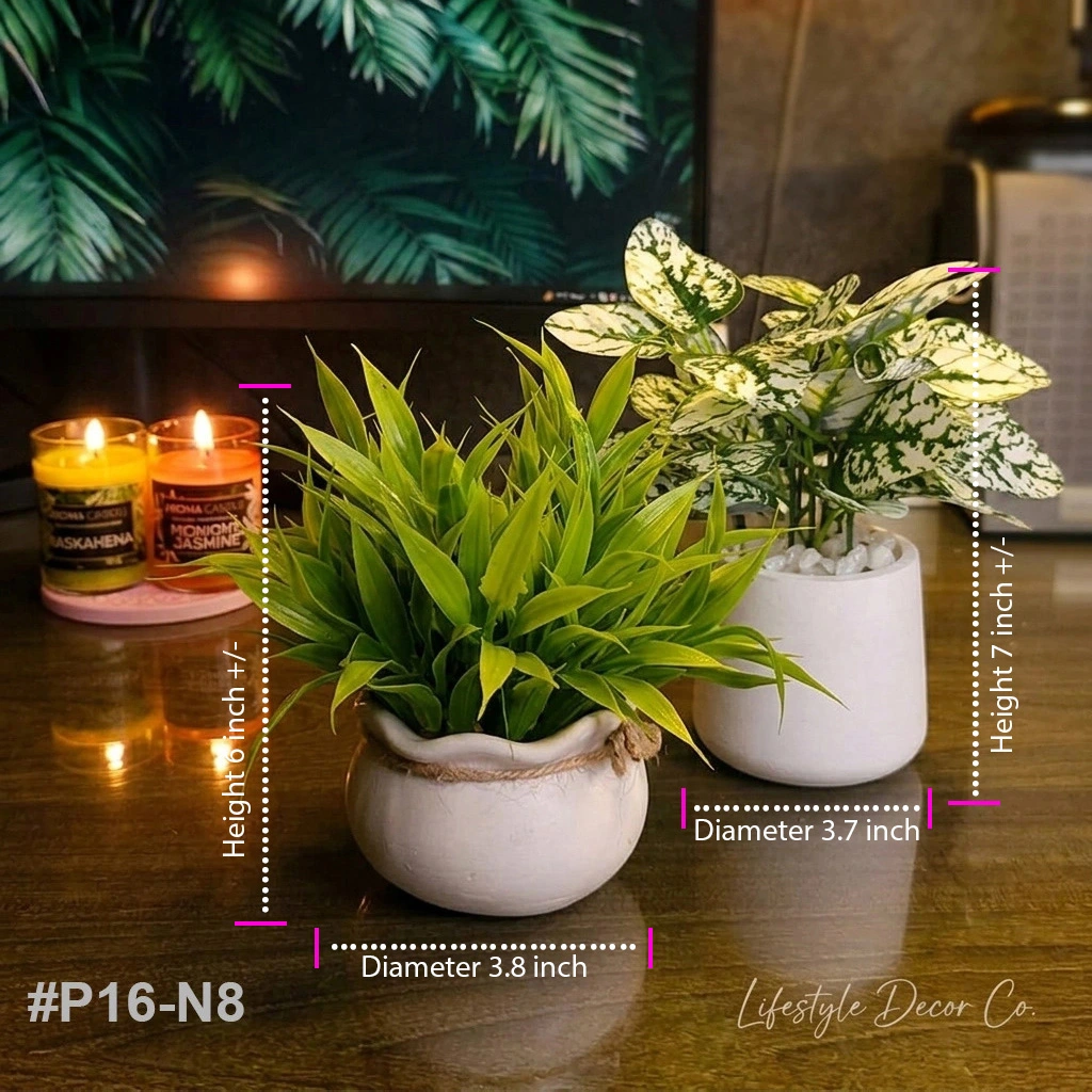 p16 n8 p16 n8