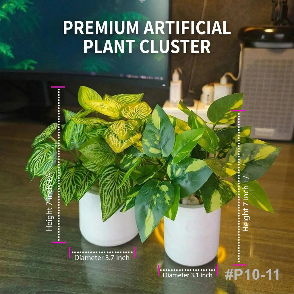 p10 11 p10 11