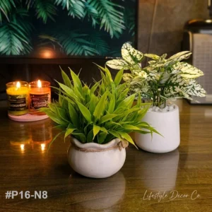 p16 n8